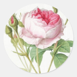 Adesivo Redondo Redouta Vintage Rosa Circle Vinhage