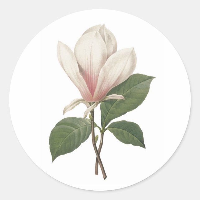Adesivo Redondo Redoute Magnolia Sticker (Frente)