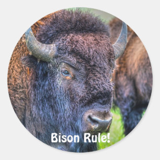 Adesivo Redondo Regra Bison! Tapetes de Arte Buffalo-Lover