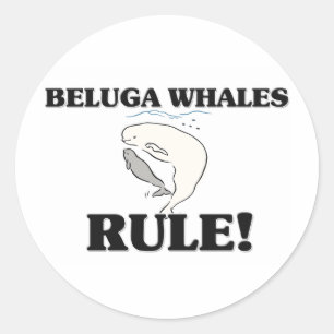 Adesivo Redondo Regra das BALEIAS da BELUGA!
