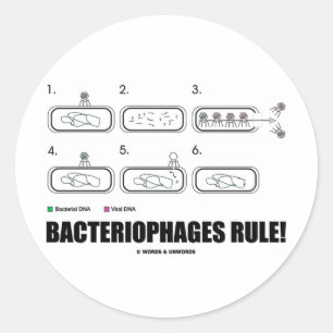 Adesivo Redondo Regra dos bacteriófagos! (ADN do vírus das