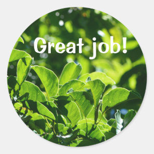 Adesivo Redondo Renovação de folhas verdes: professor de excelente