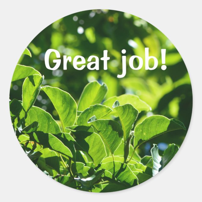 Adesivo Redondo Renovação de folhas verdes: professor de excelente (Frente)