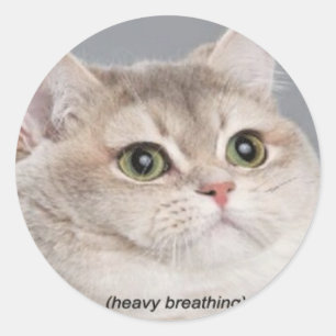 Adesivo Redondo *respiração intensa*