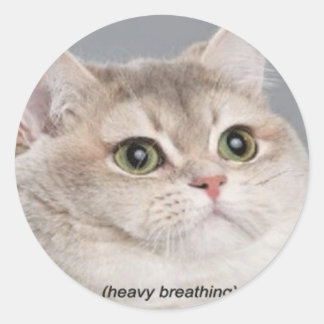 Adesivo Redondo *respiração intensa*