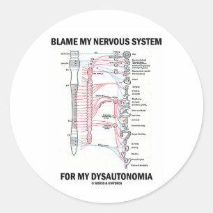 Adesivo Redondo Responsabilize meu sistema nervoso por meu