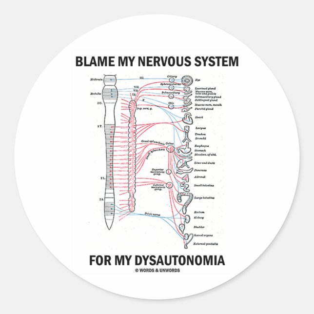 Adesivo Redondo Responsabilize meu sistema nervoso por meu (Frente)