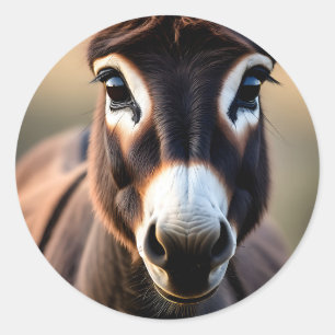 Adesivo Redondo Retrato aproximado de burro curioso