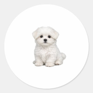 Adesivo Redondo Retrato de Cachorrinho Maltês Branco Fofinho Amant