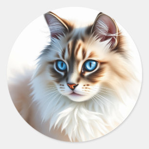 Adesivo Redondo Retrato de Fluffy Ragdoll Cat com Olhos Azuis