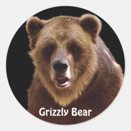 Adesivo Redondo Retrato de Urso Grizzly Vinhetas Selvagens