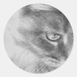 Adesivo Redondo Retrato "Gatinho Anjo"