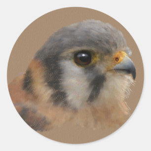 Adesivo Redondo Retrato Kestrel Americano