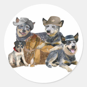 Adesivo Redondo Retrato Ocidental de Cães de Bovinos Australianos