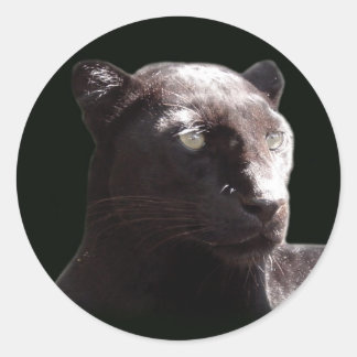 Adesivo Redondo Retrato Preto Leopardo