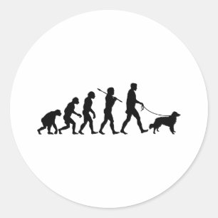 Adesivo Redondo Retriever anunciando do pato de Nova Escócia