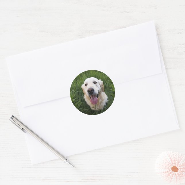 Adesivo Redondo Retriever de Ouro sorridente (Envelope)