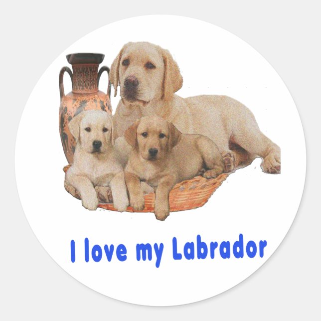 Adesivo Redondo Retriever Labrador (Frente)