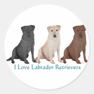 Adesivo Redondo Retrievers de Labrador - 3 cores ao amor