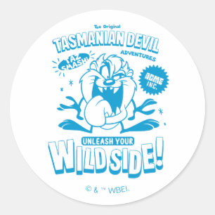 Adesivo Redondo Retro TAZ™ Sorrente