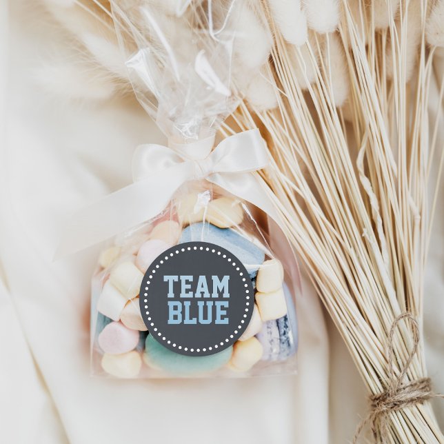 Adesivo Redondo Revelação do Gênero do Bebê do Quadro Azul da Equi (Criador carregado)