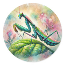 Rezando Mantis Em Leaf Watercolor