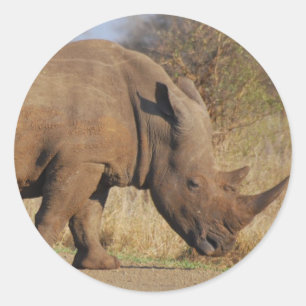Adesivo Redondo Rhino