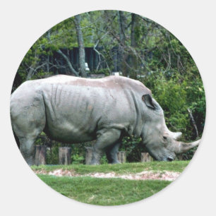 Adesivo Redondo Rhino Branco