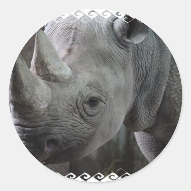 Adesivo Redondo Rhino Facts Stickers (Frente)