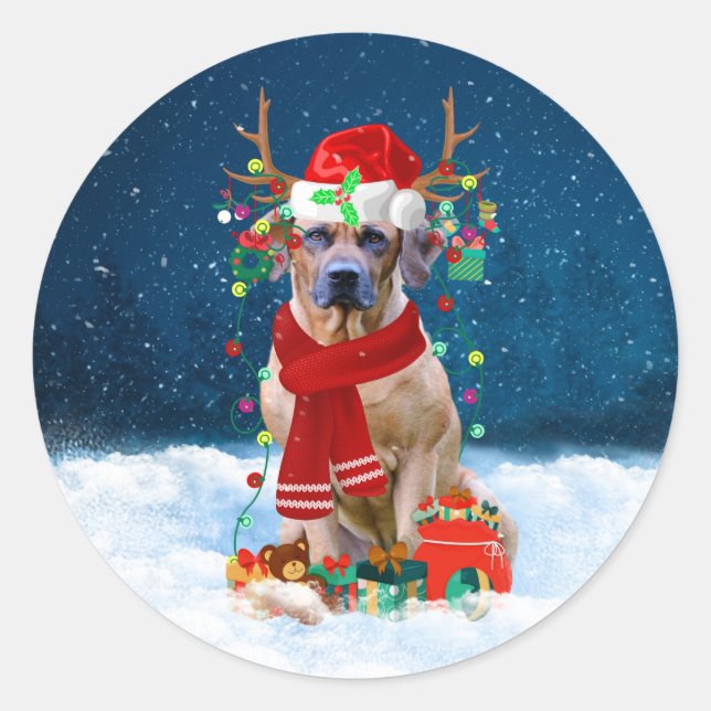 Adesivo Redondo Ridgeback Dog em Presente de Natal na Neve (Frente)