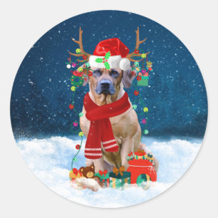 Adesivo Redondo Ridgeback Dog em Presente de Natal na Neve
