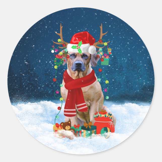 Adesivo Redondo Ridgeback Dog em Presente de Natal na Neve (Frente)