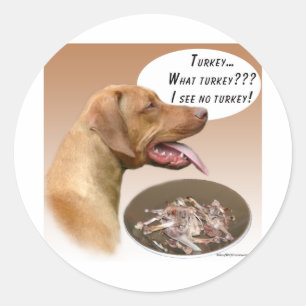 Adesivo Redondo Ridgeback, Turquia