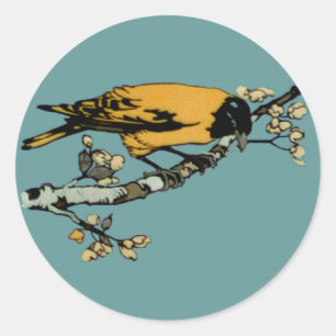 Adesivo Redondo Rielaboração da Ilustração das Aves Vintage Amarel