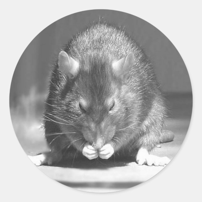 Adesivo Redondo rio (Frente)