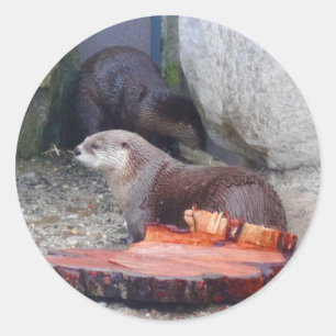 Adesivo Redondo Rio Americano Otter #1 Stickers