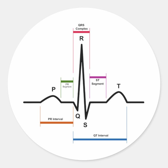 Adesivo Redondo Ritmo sinusal num diagrama ECG eletrocardiograma (Frente)