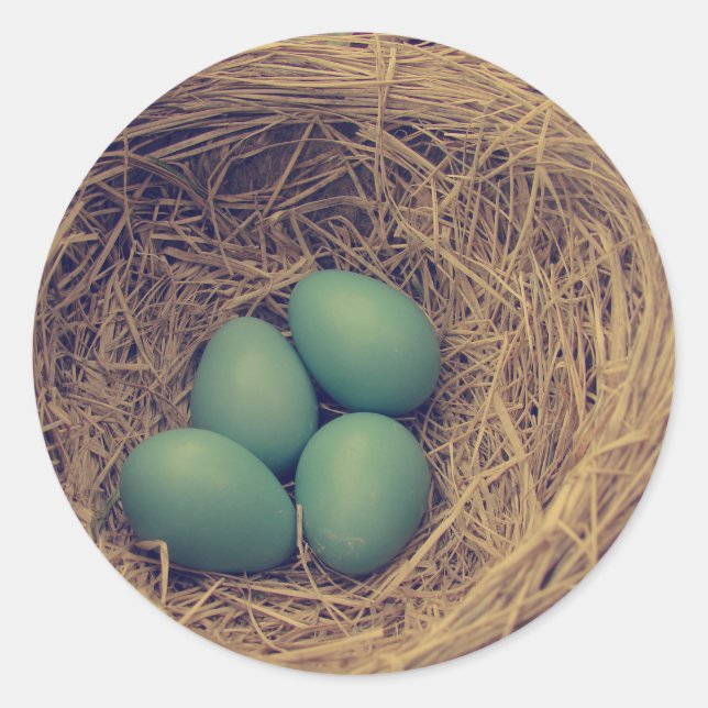 Adesivo Redondo Robin Nest e Ovos (Frente)