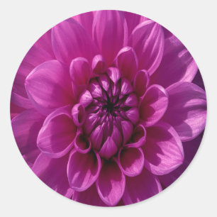 Adesivo Redondo Romântico Floral Rosado