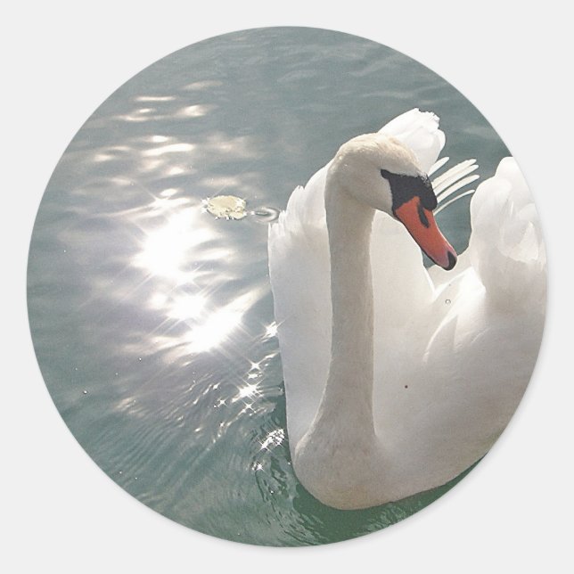 Adesivo Redondo Romantischer weisser Schwan (Frente)