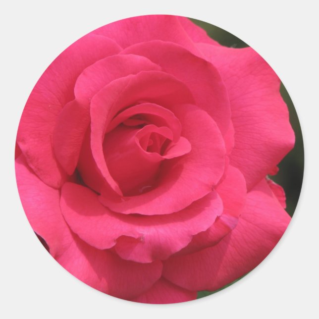 Adesivo Redondo Rosa (Frente)