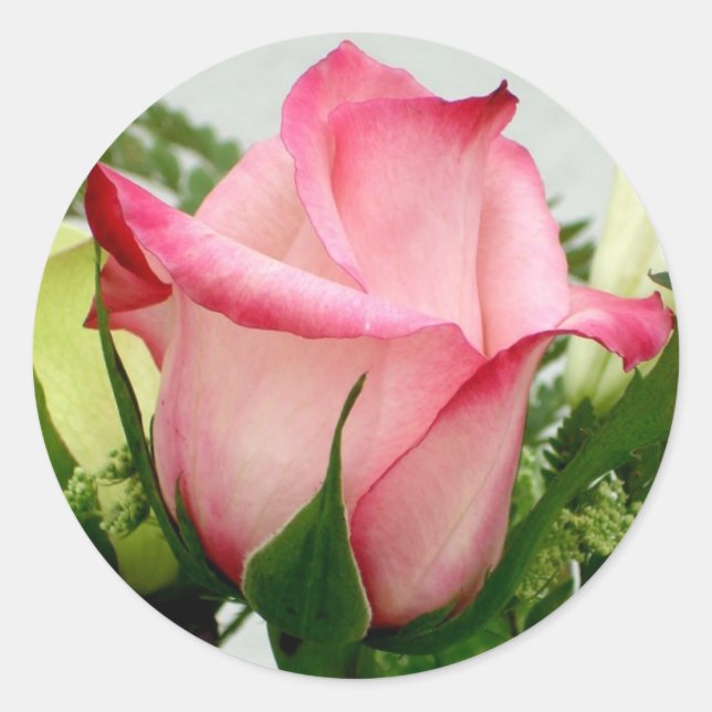 Adesivo Redondo Rosa (Frente)