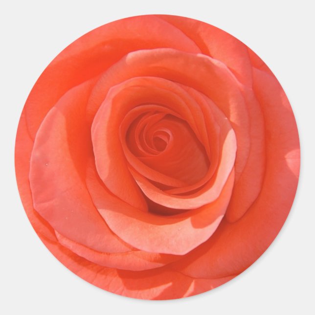 Adesivo Redondo Rosa (Frente)