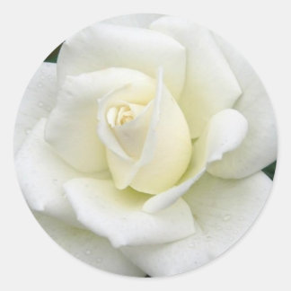 Adesivo Redondo Rosa