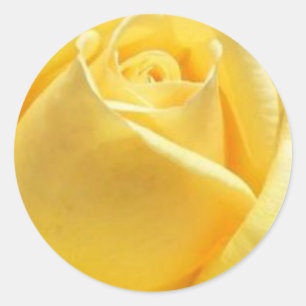 Adesivo Redondo Rosa Amarela