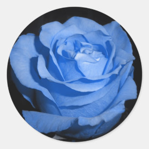 Adesivo Redondo Rosa azul solteiro