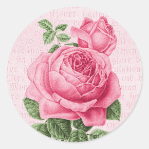 Adesivo Redondo Rosa bonito do rosa do vintage