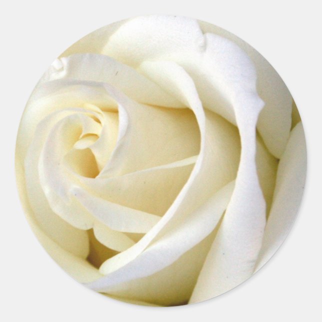 Adesivo Redondo Rosa Branco (Frente)
