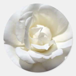 Adesivo Redondo Rosa branco