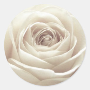 Adesivo Redondo Rosa branco bonito